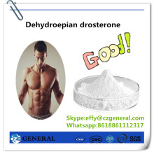 53-43-0 Prohormone Steroid Hormone Dehydroepian Drosterone